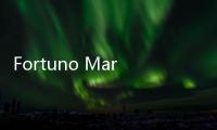 Fortuno Markets, Solusi Aplikasi Trading untuk Pemula