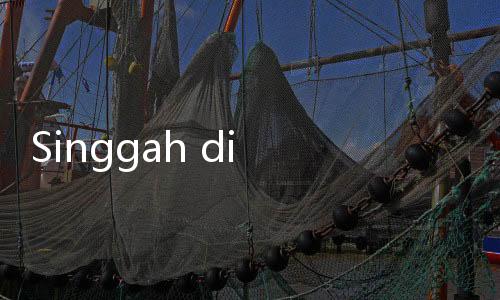 Singgah di Bukitinggi, Ketagihan Pedas Gurih Itiak Lado Mudo Ngarai